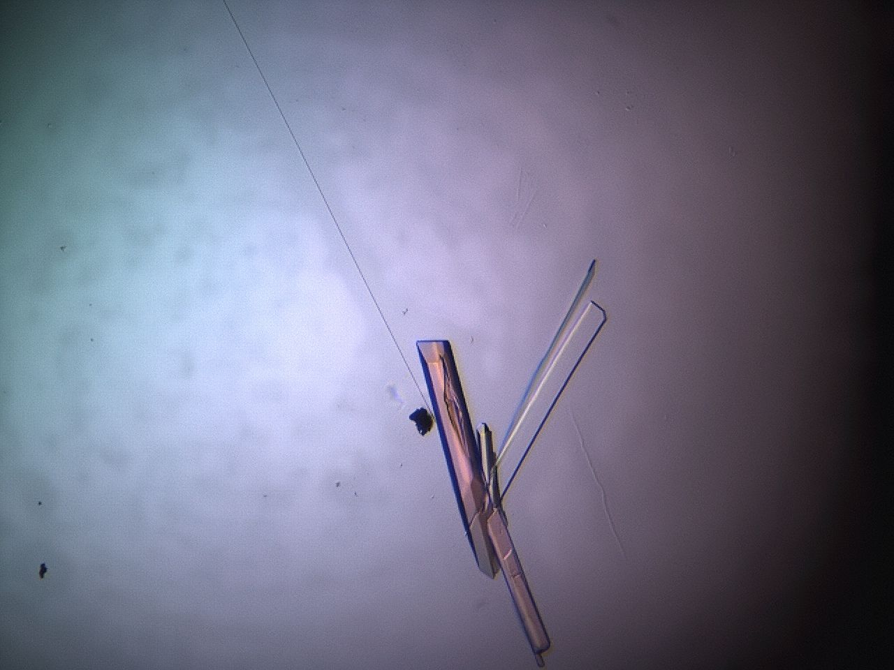 03q3_H7_HighContrast_9.jpg