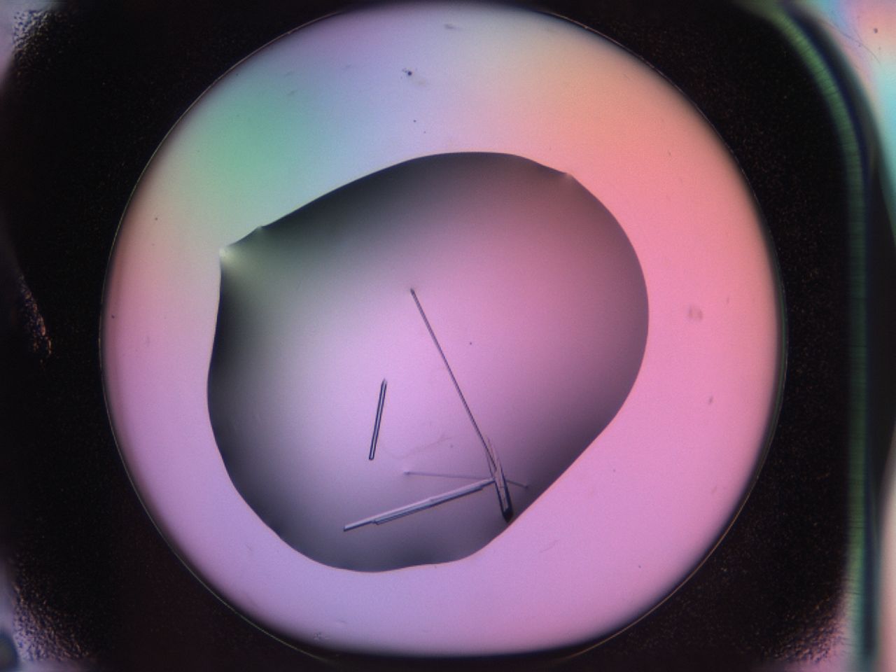 03q4_A6_ImagerDefaults_9.jpg