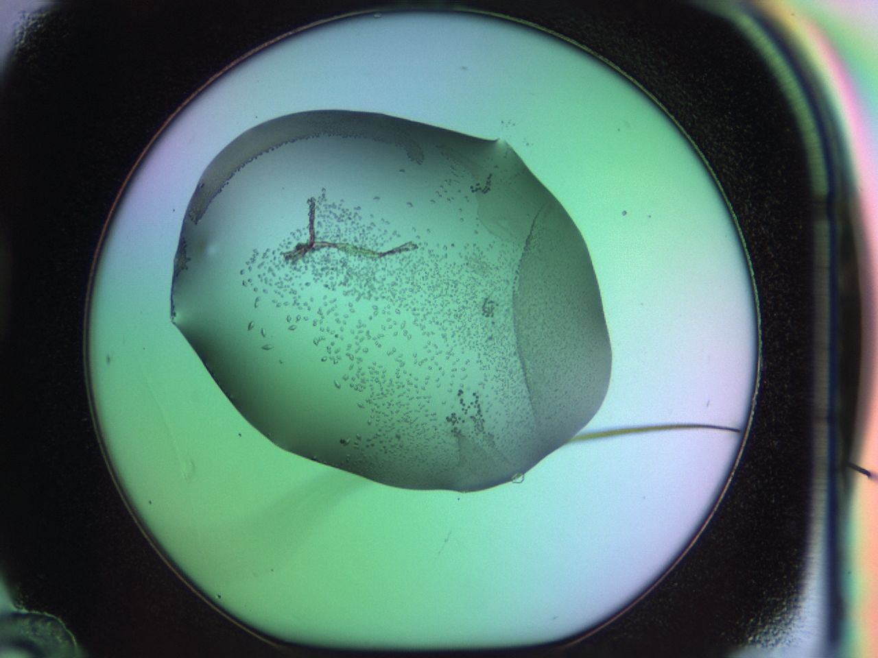 03q4_D12_ImagerDefaults_9.jpg