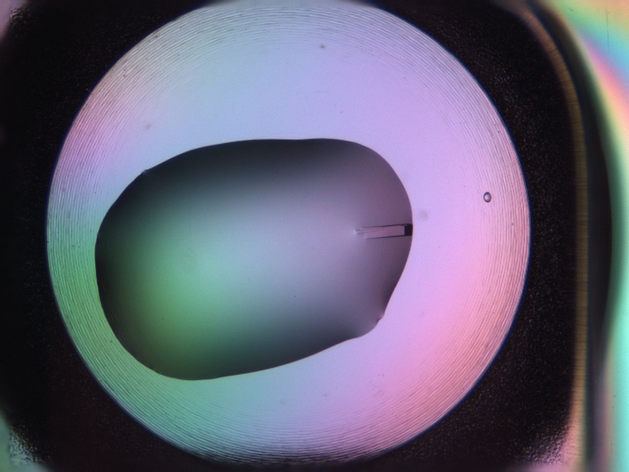 03q4_F5_ImagerDefaults_9.jpg