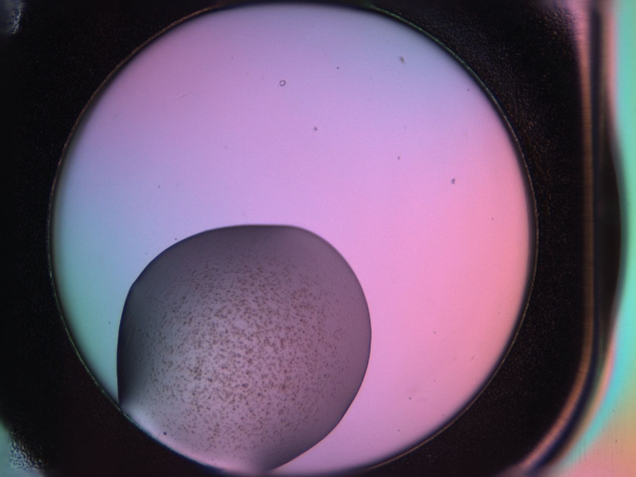 03q7_E11_ImagerDefaults_6.jpg