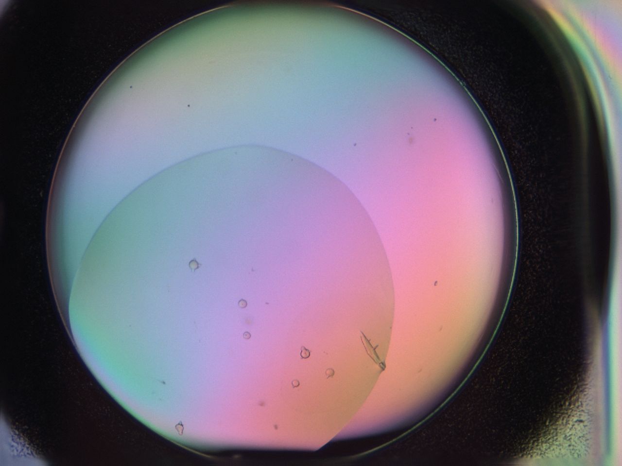 03q9_G4_ImagerDefaults_6.jpg