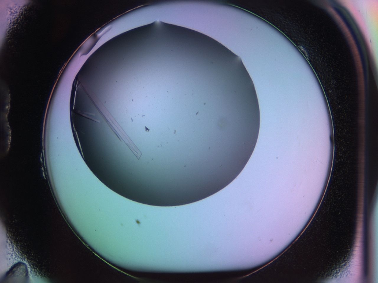 03qf_B11_ImagerDefaults_9.jpg