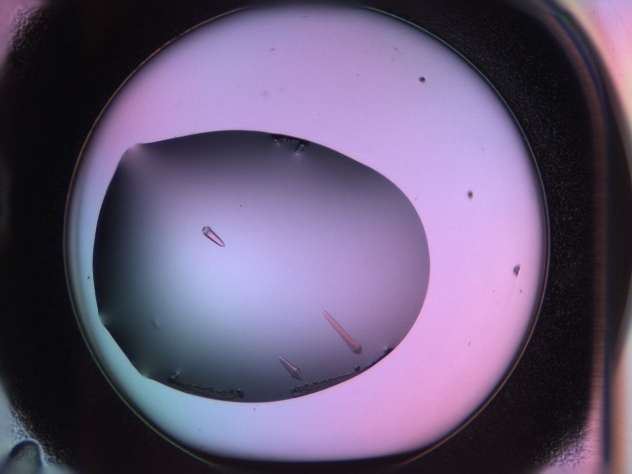 03qf_D11_ImagerDefaults_9.jpg