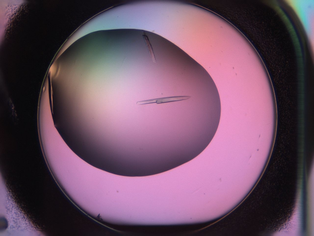 03qf_A5_ImagerDefaults_9.jpg
