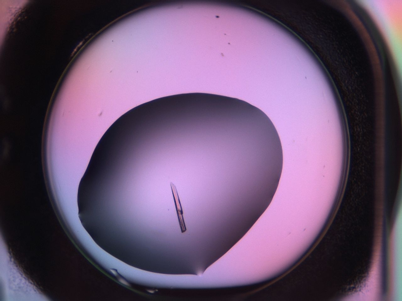 03qf_C4_ImagerDefaults_9.jpg