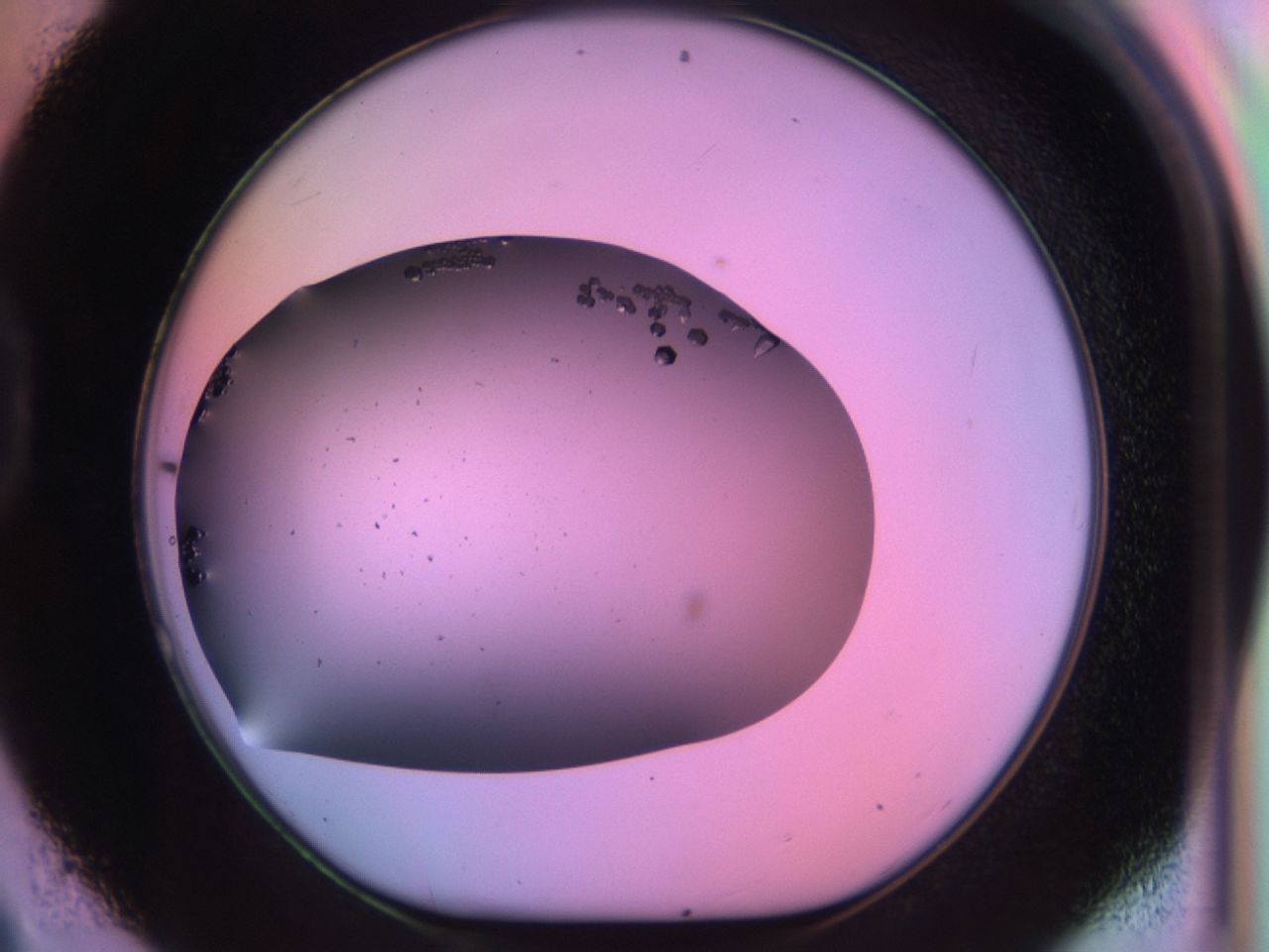 03qf_D9_ImagerDefaults_9.jpg