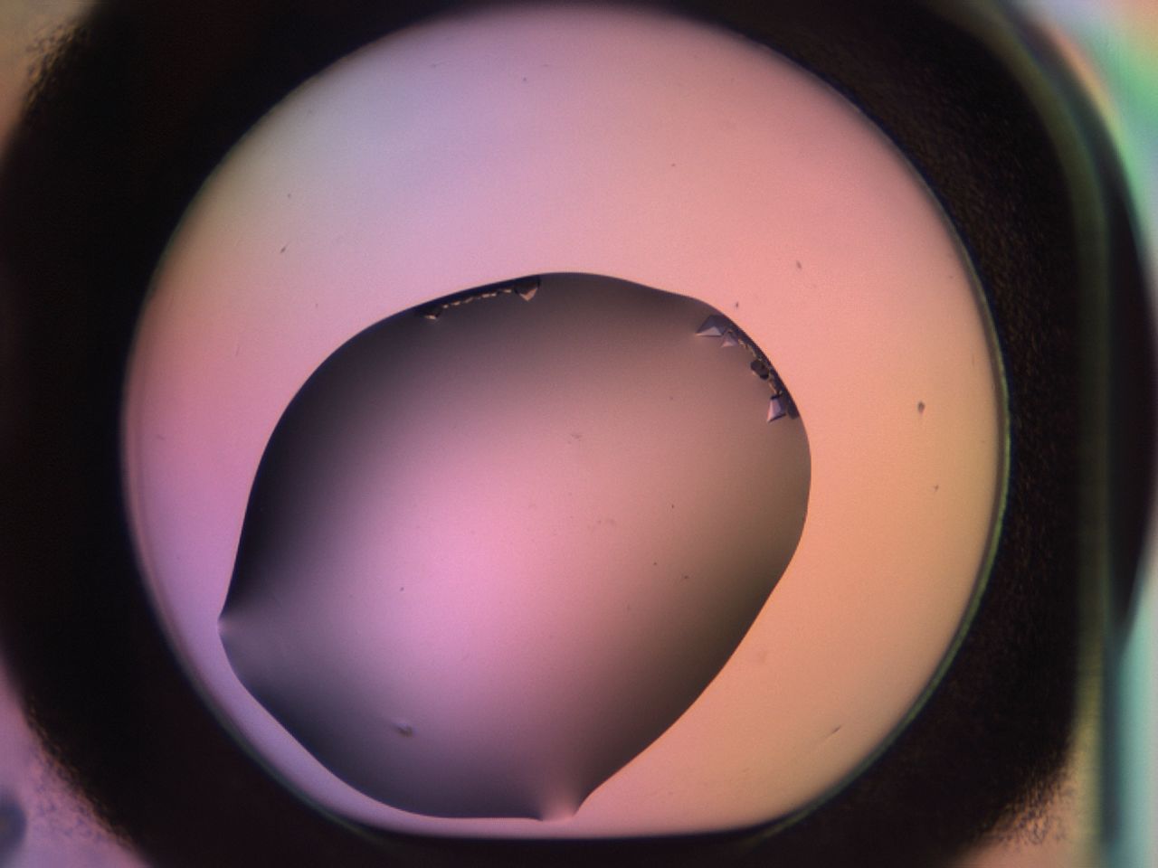 03qf_D7_ImagerDefaults_9.jpg