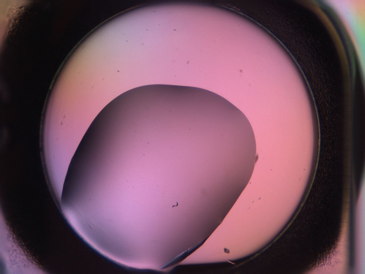 03qf_C8_ImagerDefaults_9.jpg
