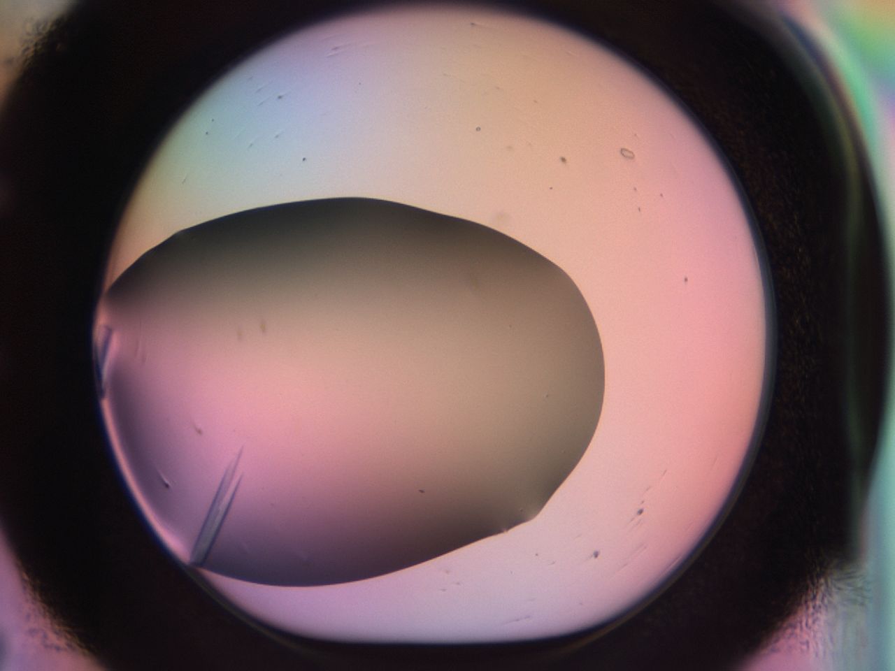 03qf_E7_ImagerDefaults_9.jpg
