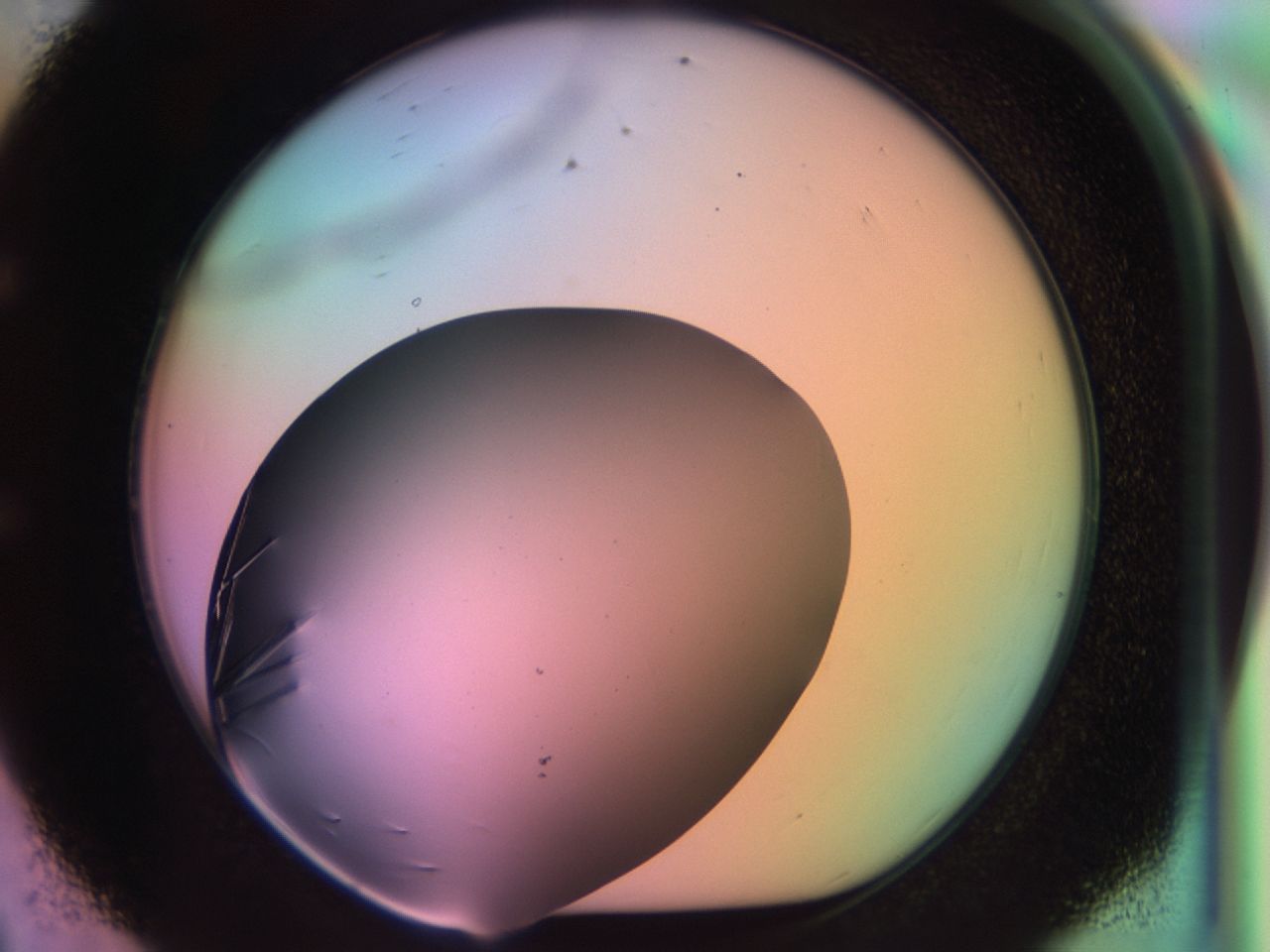 03qf_E8_ImagerDefaults_9.jpg