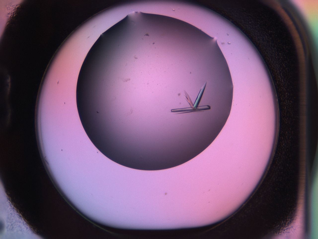 03qf_B5_ImagerDefaults_9.jpg