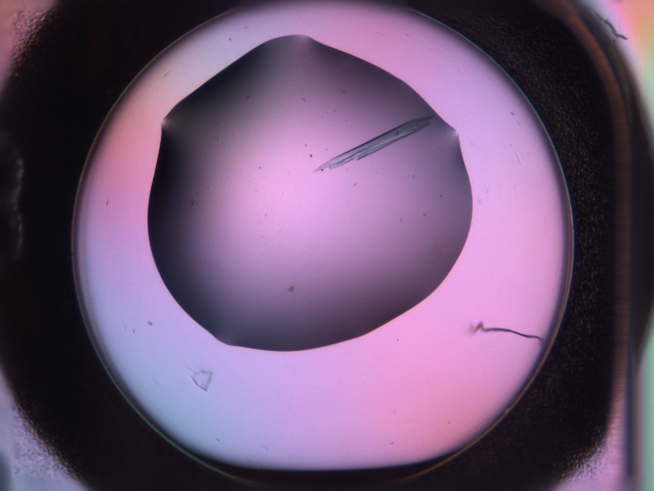 03qf_B4_ImagerDefaults_9.jpg