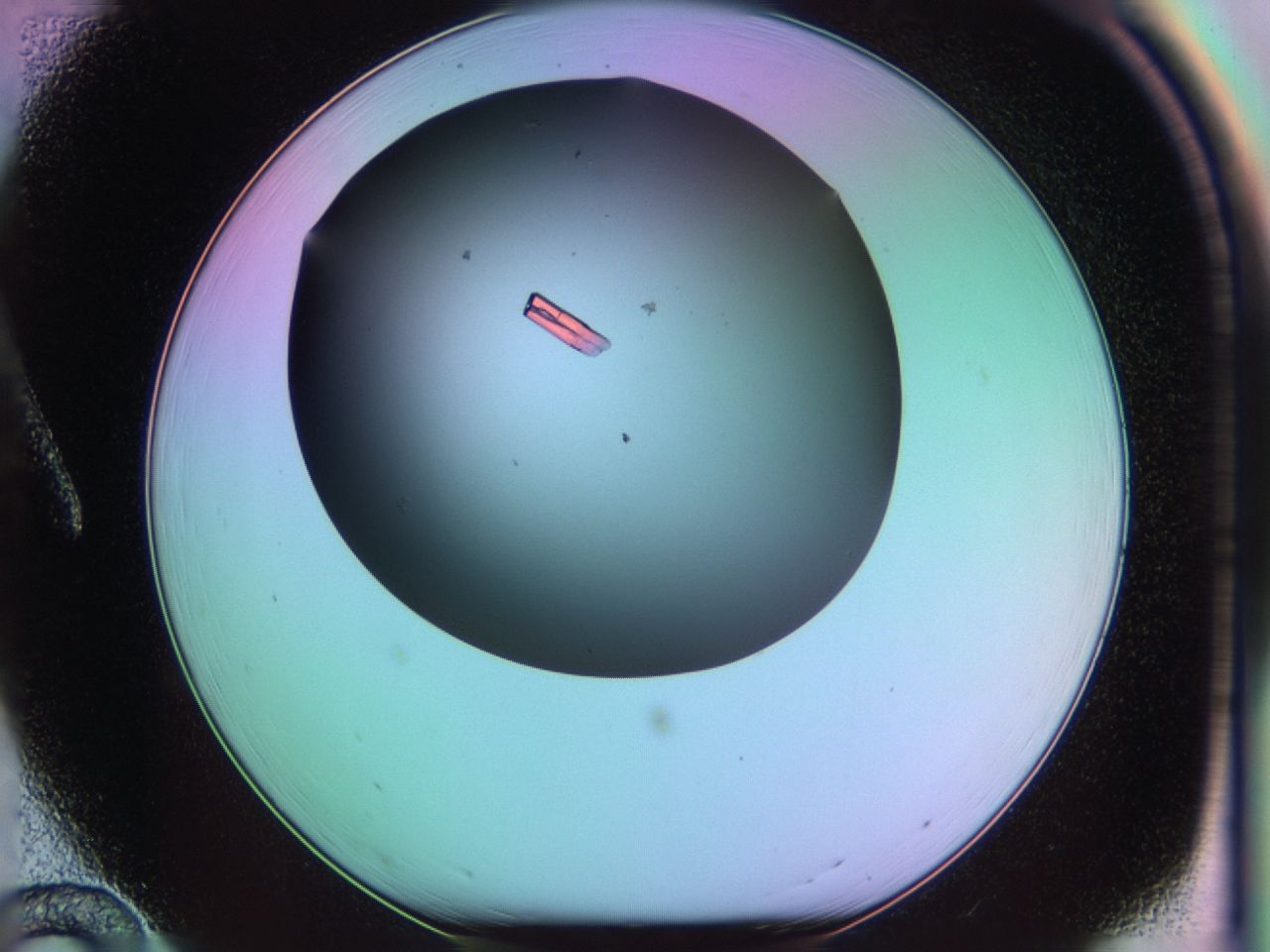 03qf_A12_ImagerDefaults_9.jpg