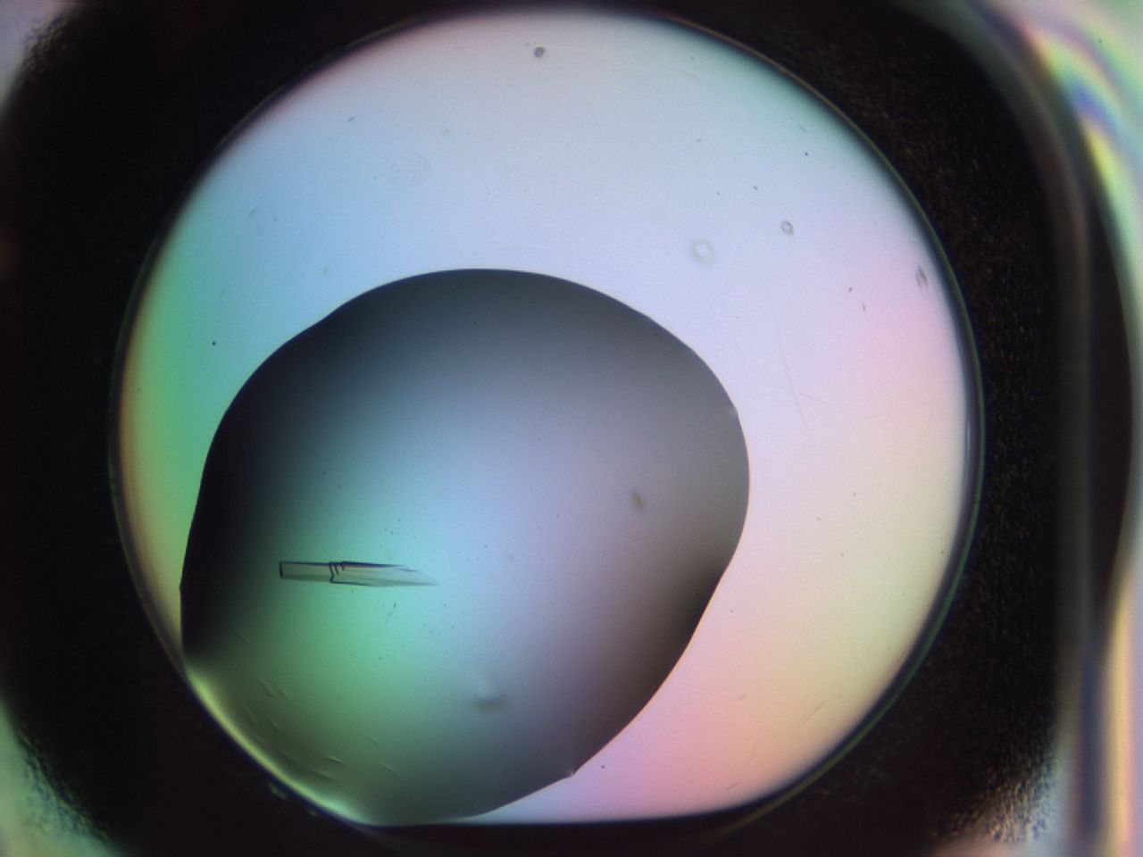 03qf_F8_ImagerDefaults_9.jpg