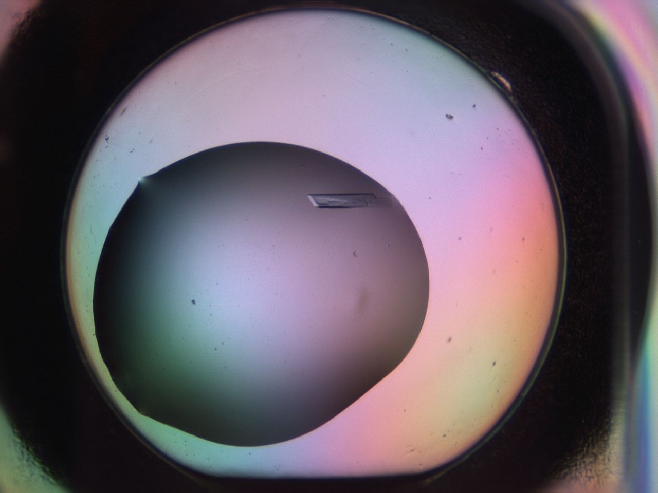 03qf_F9_ImagerDefaults_9.jpg