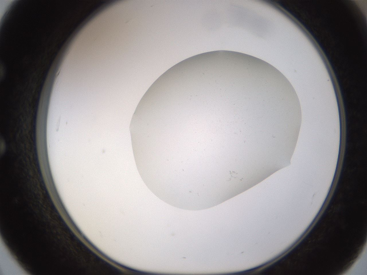 folderID833_plateID2833_batchID15071_wellNum51_profileID1_d1_r232667_ef.jpg