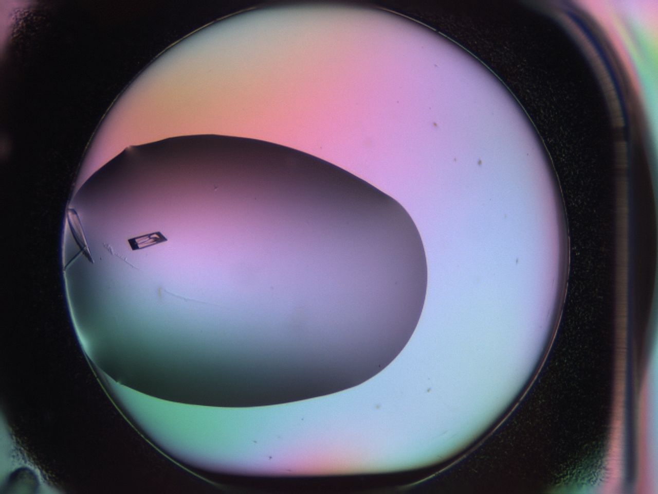 03qf_F11_ImagerDefaults_9.jpg