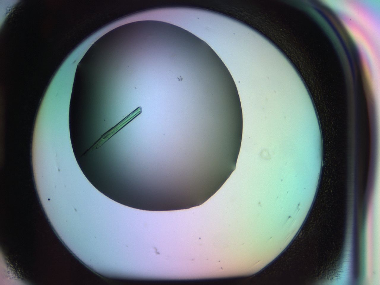03qf_H8_ImagerDefaults_9.jpg