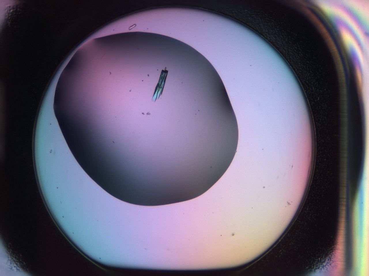 03qf_H9_ImagerDefaults_9.jpg