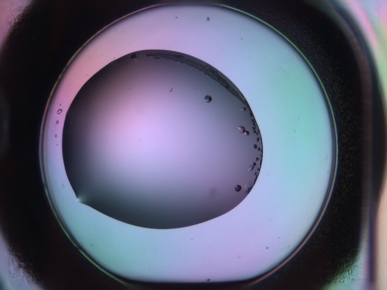 03qg_D9_ImagerDefaults_9.jpg