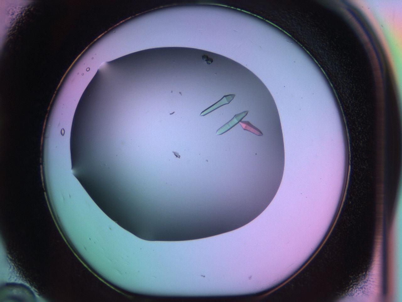 03qg_D10_ImagerDefaults_9.jpg