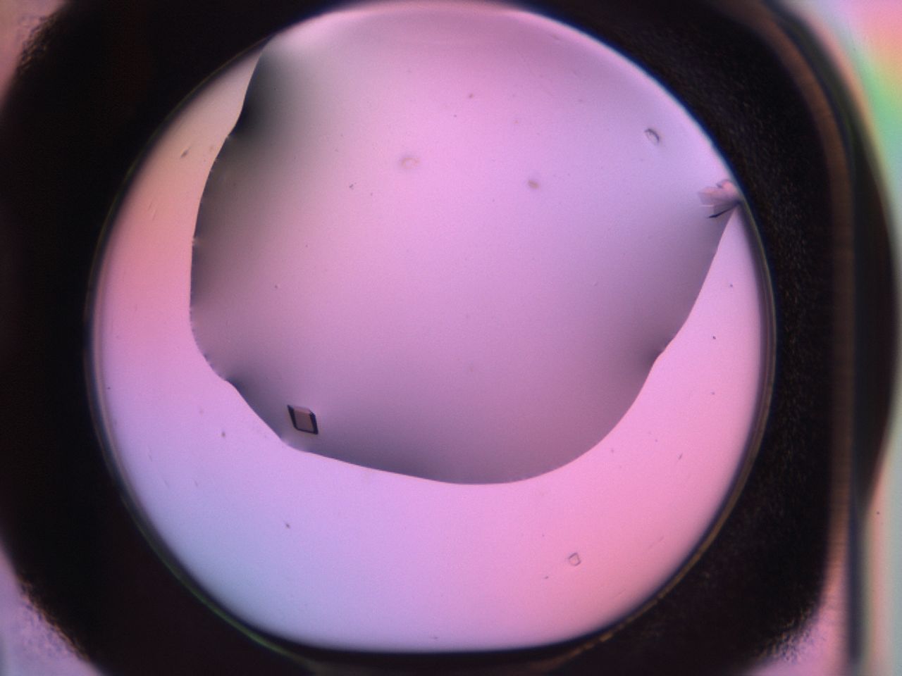 03qg_D4_ImagerDefaults_9.jpg