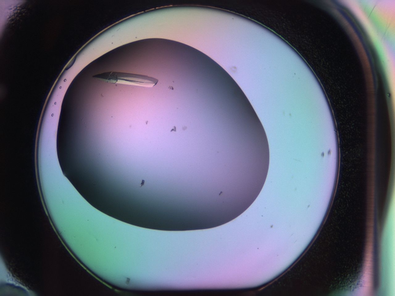 03qg_F10_ImagerDefaults_9.jpg