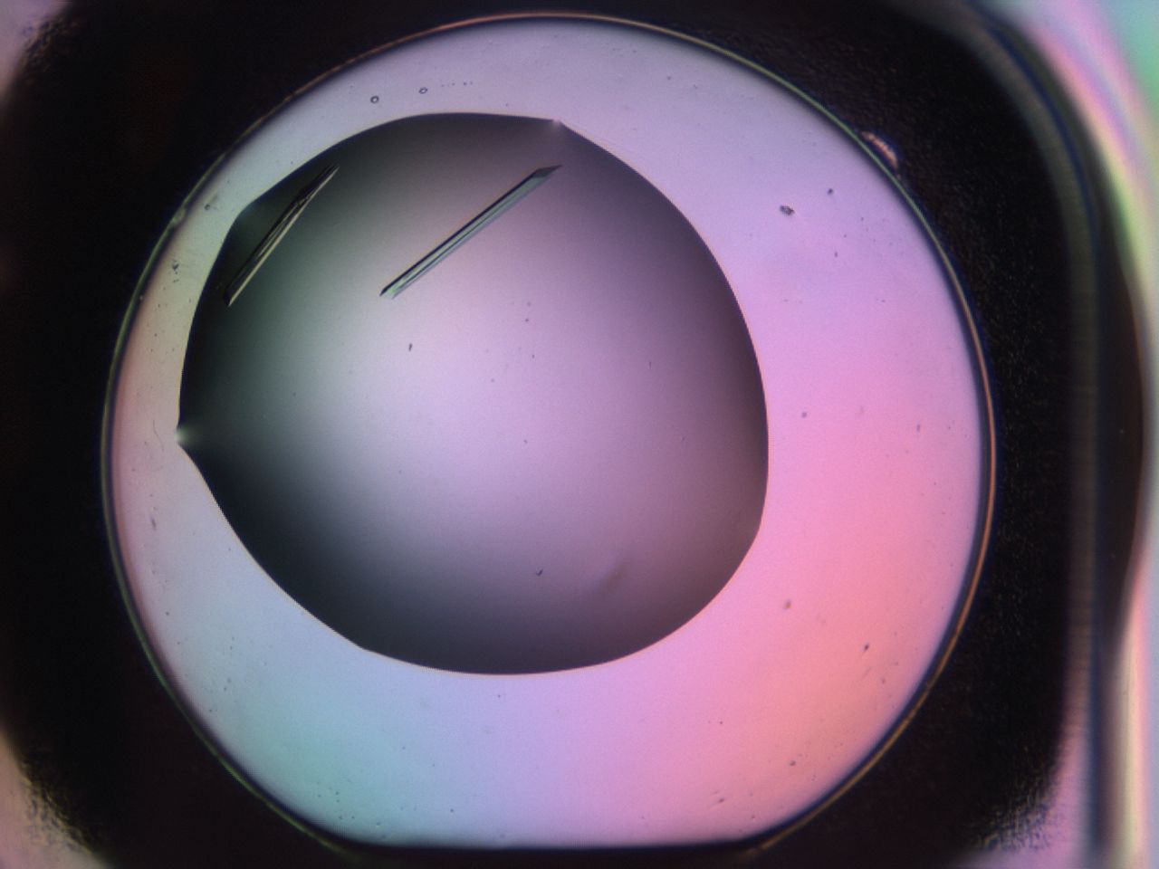 03qg_F9_ImagerDefaults_9.jpg