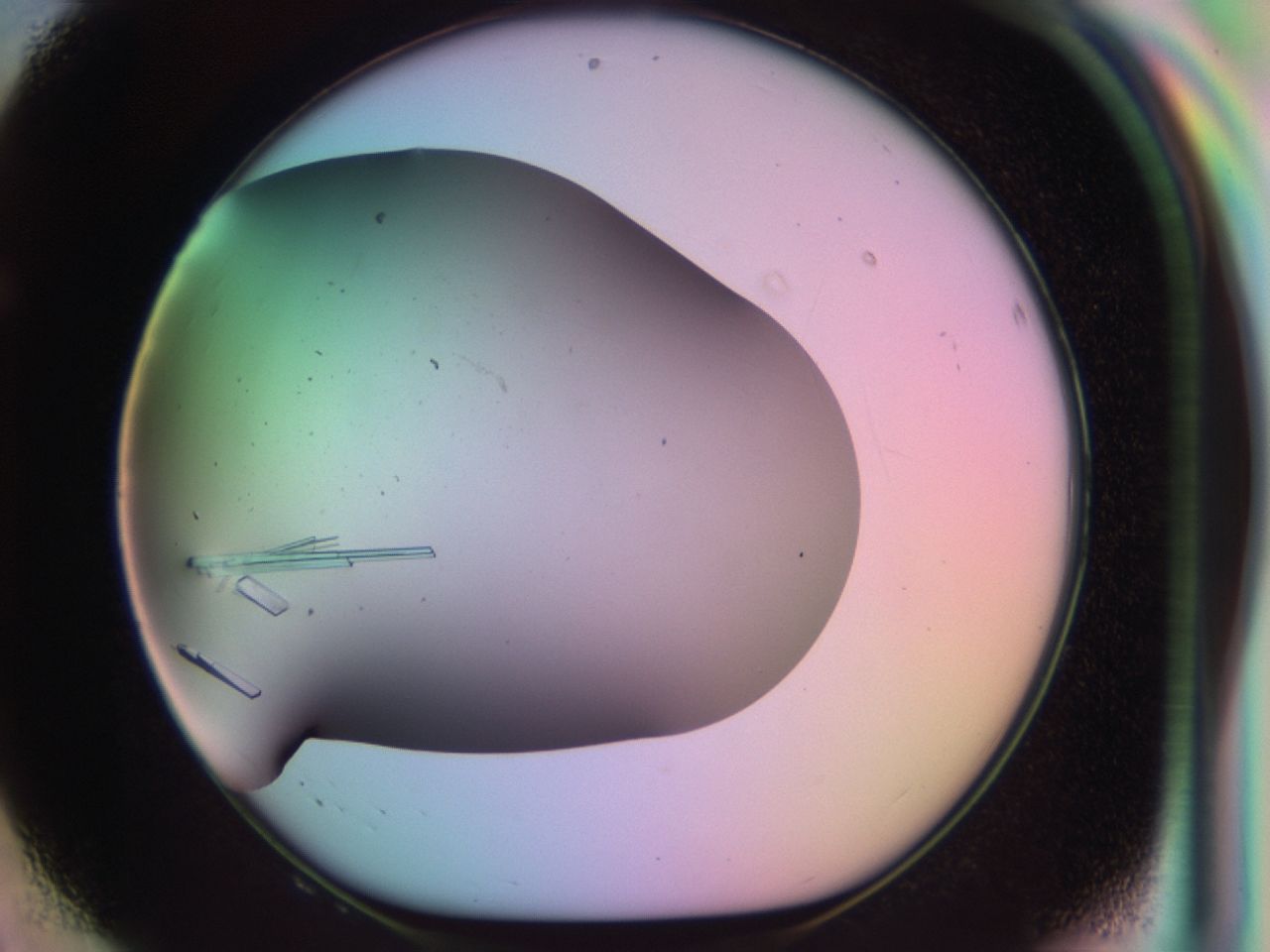03qg_F8_ImagerDefaults_9.jpg