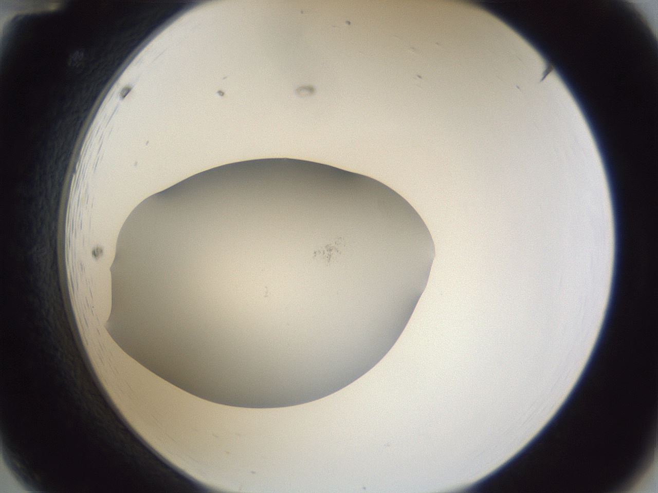folderID841_plateID1841_batchID7907_wellNum12_profileID1_d2_r125685_ef.jpg