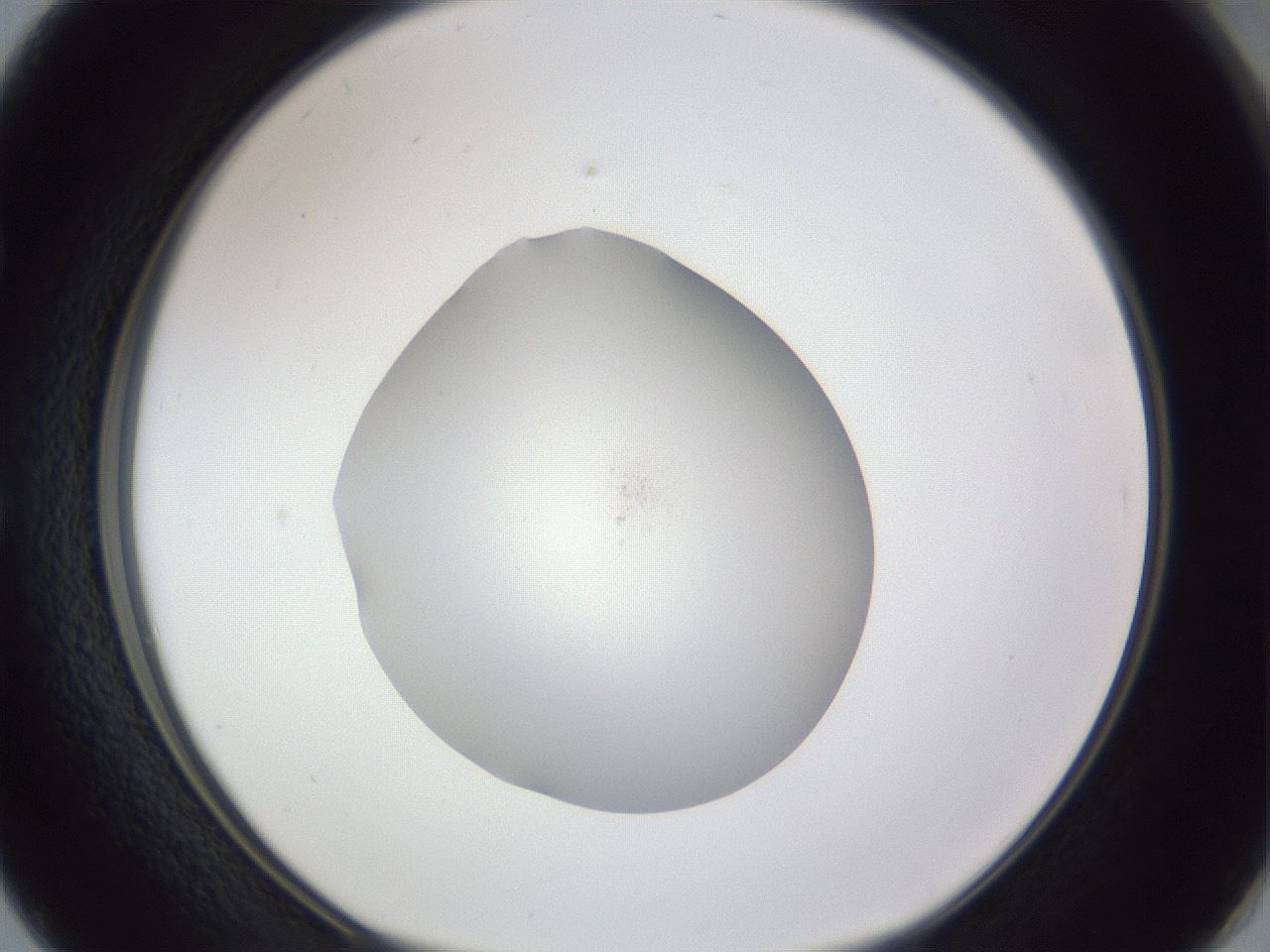 folderID841_plateID1841_batchID7907_wellNum50_profileID1_d1_r125760_ef.jpg
