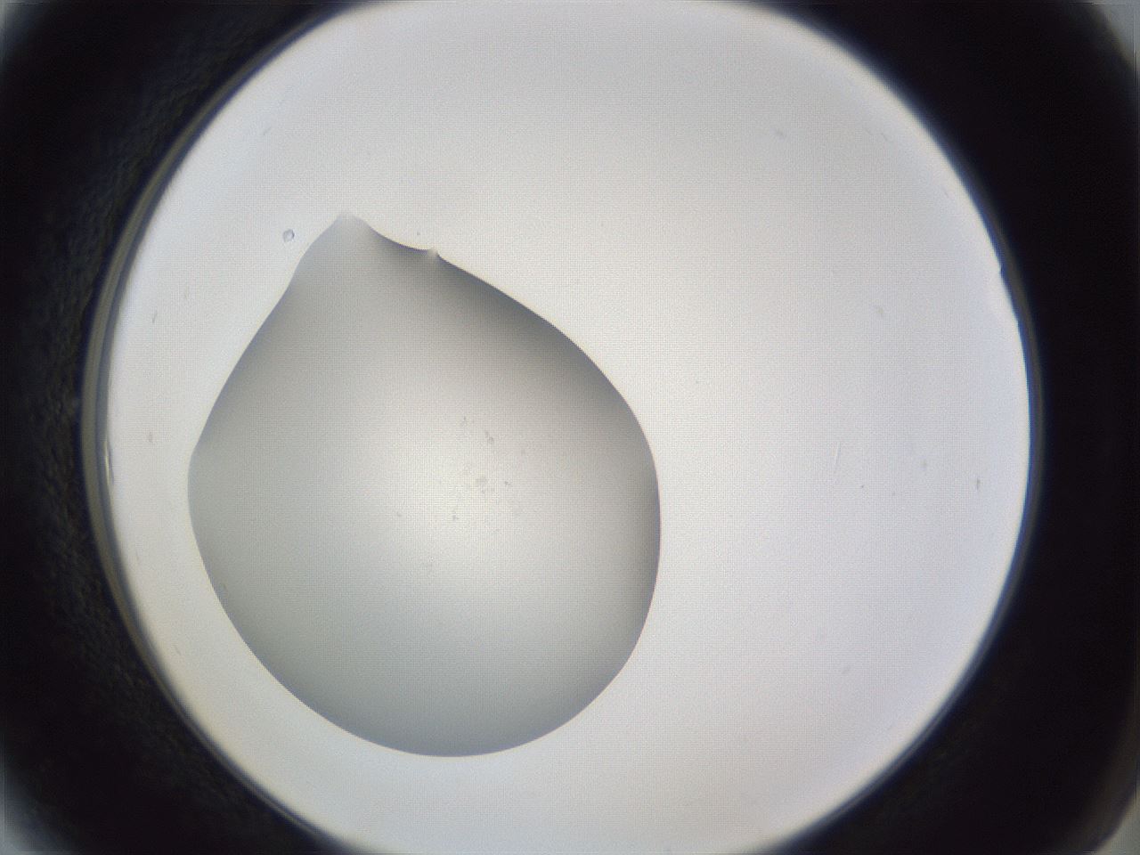 folderID841_plateID1841_batchID7907_wellNum6_profileID1_d2_r125673_ef.jpg