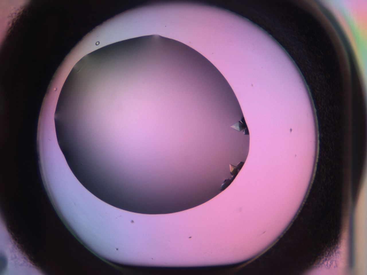 03qg_D7_ImagerDefaults_9.jpg