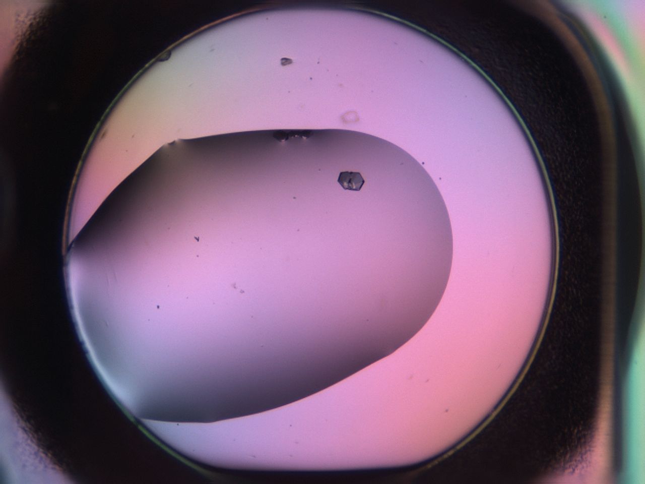 03qg_D8_ImagerDefaults_9.jpg