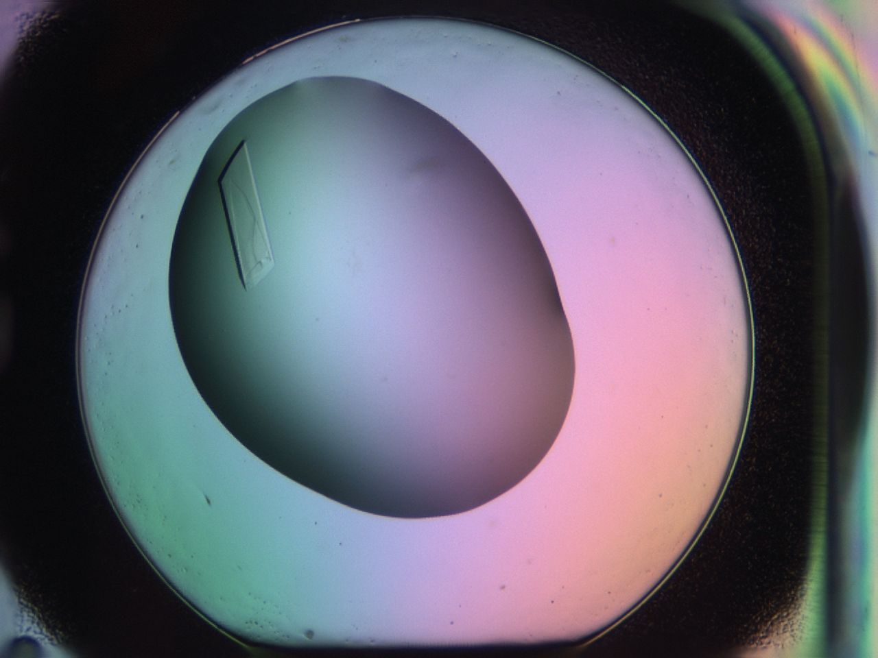 03qh_G11_ImagerDefaults_9.jpg