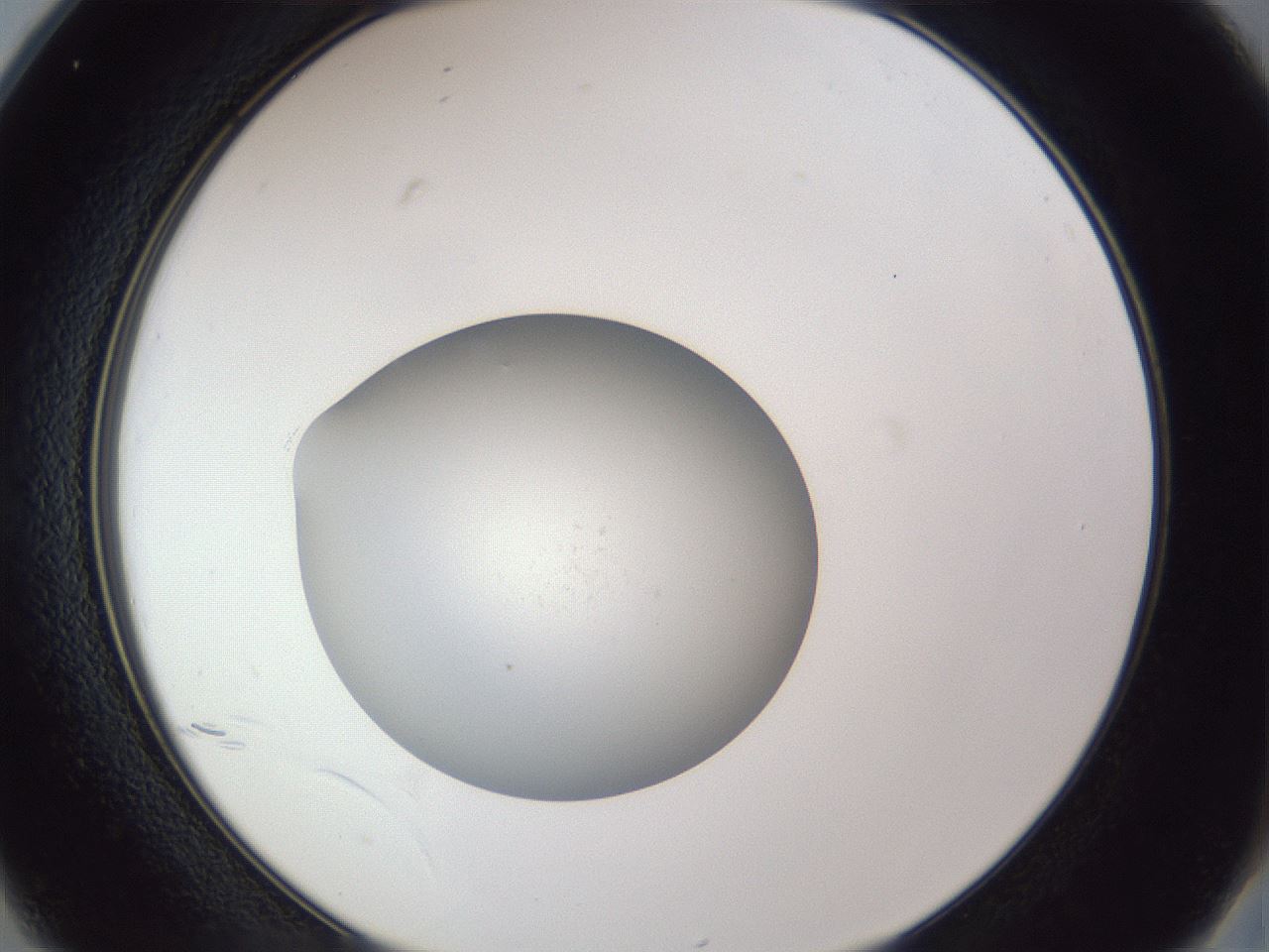 folderID844_plateID1844_batchID7895_wellNum25_profileID1_d2_r125135_ef.jpg