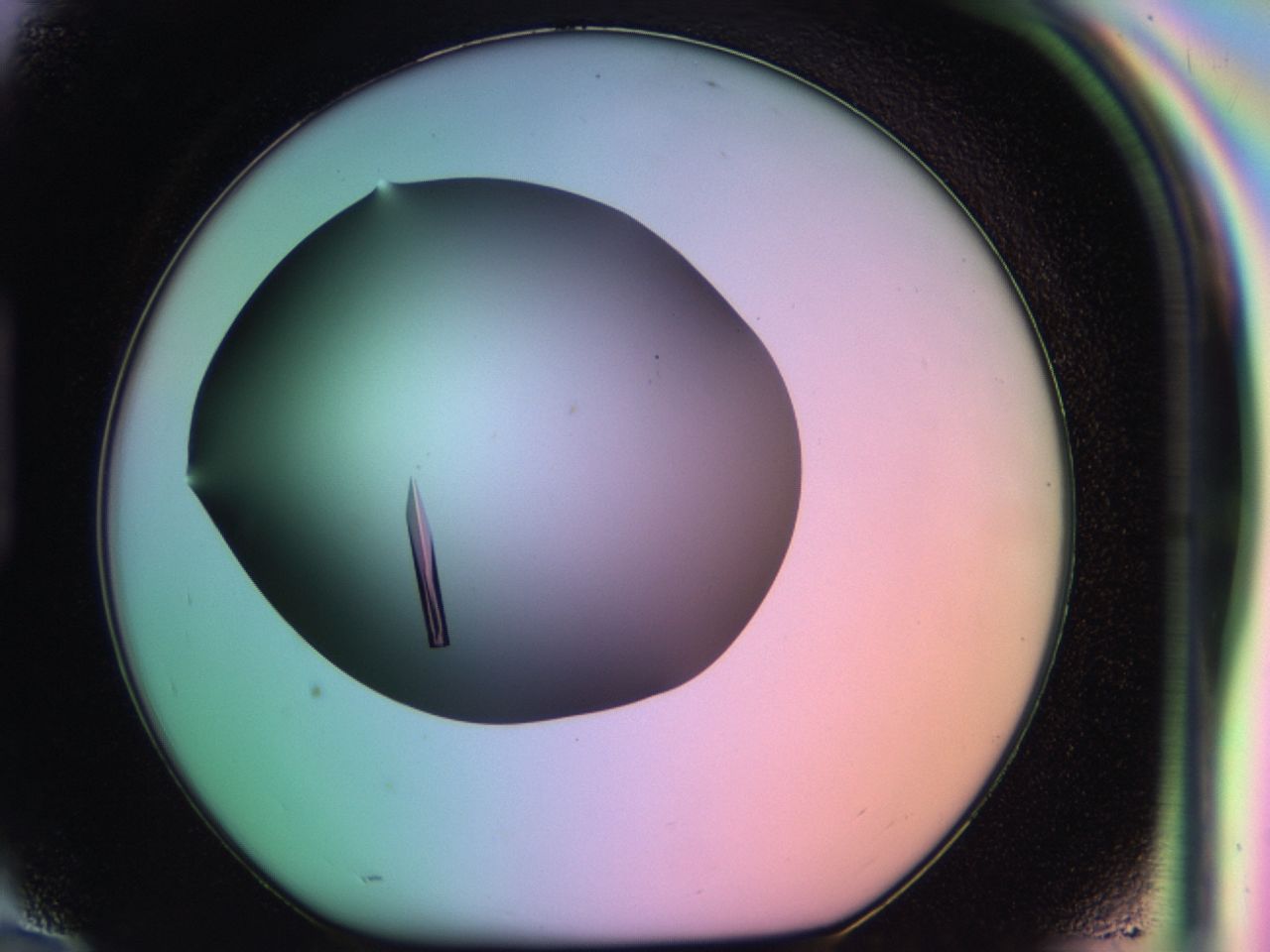 03qh_H10_ImagerDefaults_9.jpg