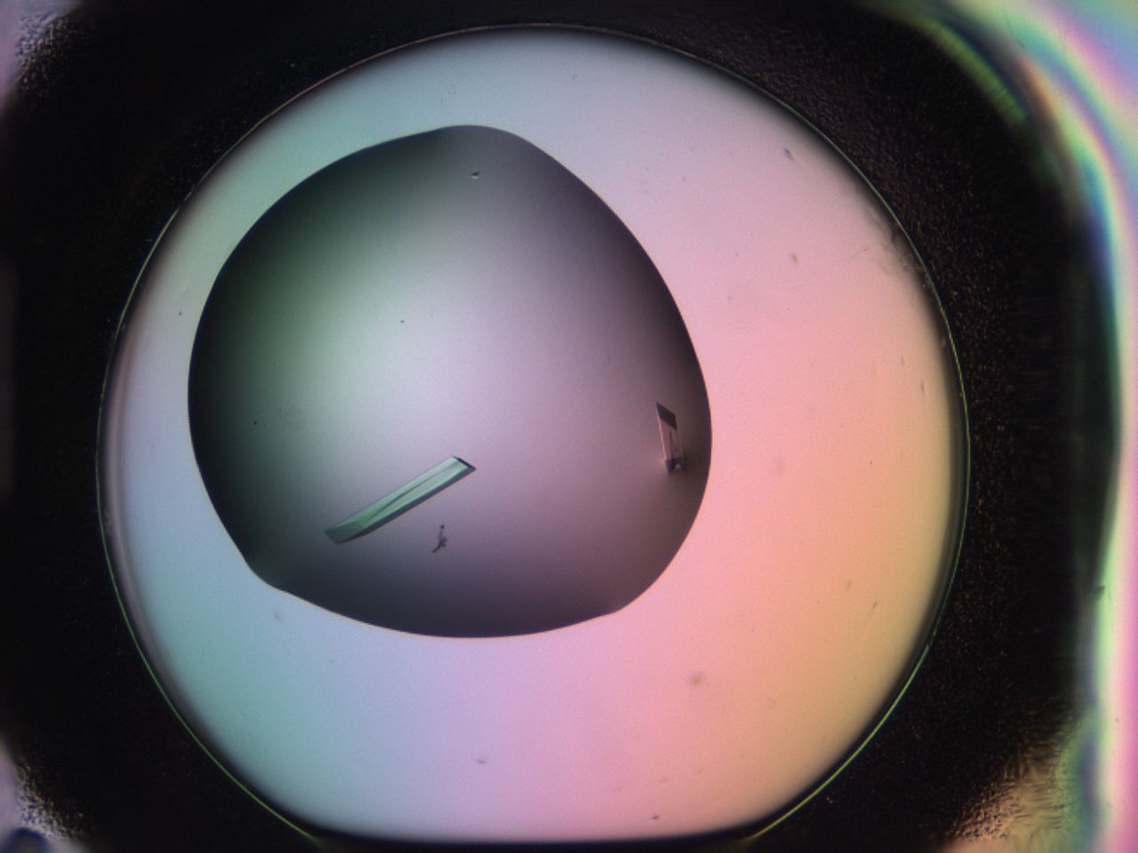03qh_H11_ImagerDefaults_9.jpg