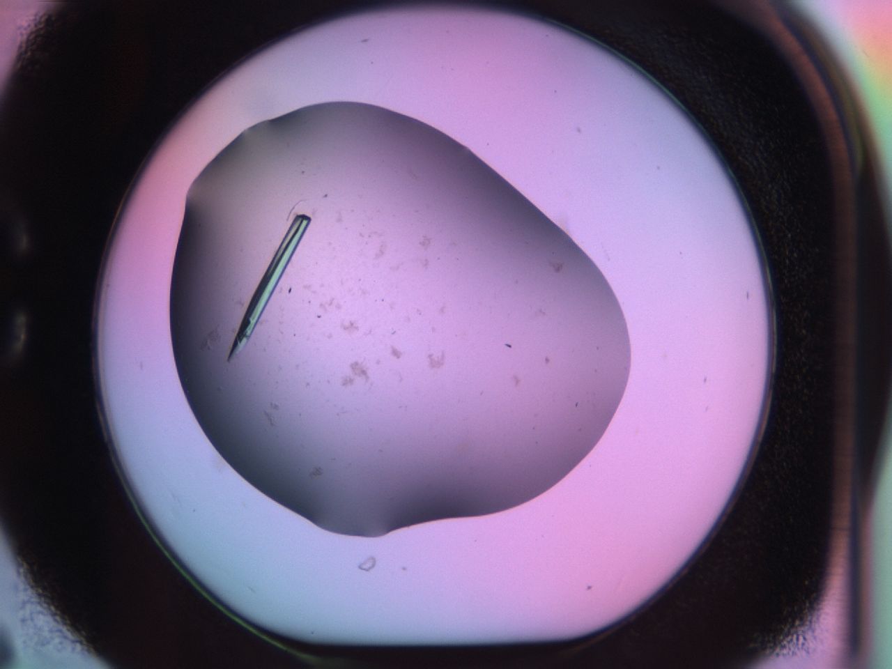 03qh_C6_ImagerDefaults_9.jpg