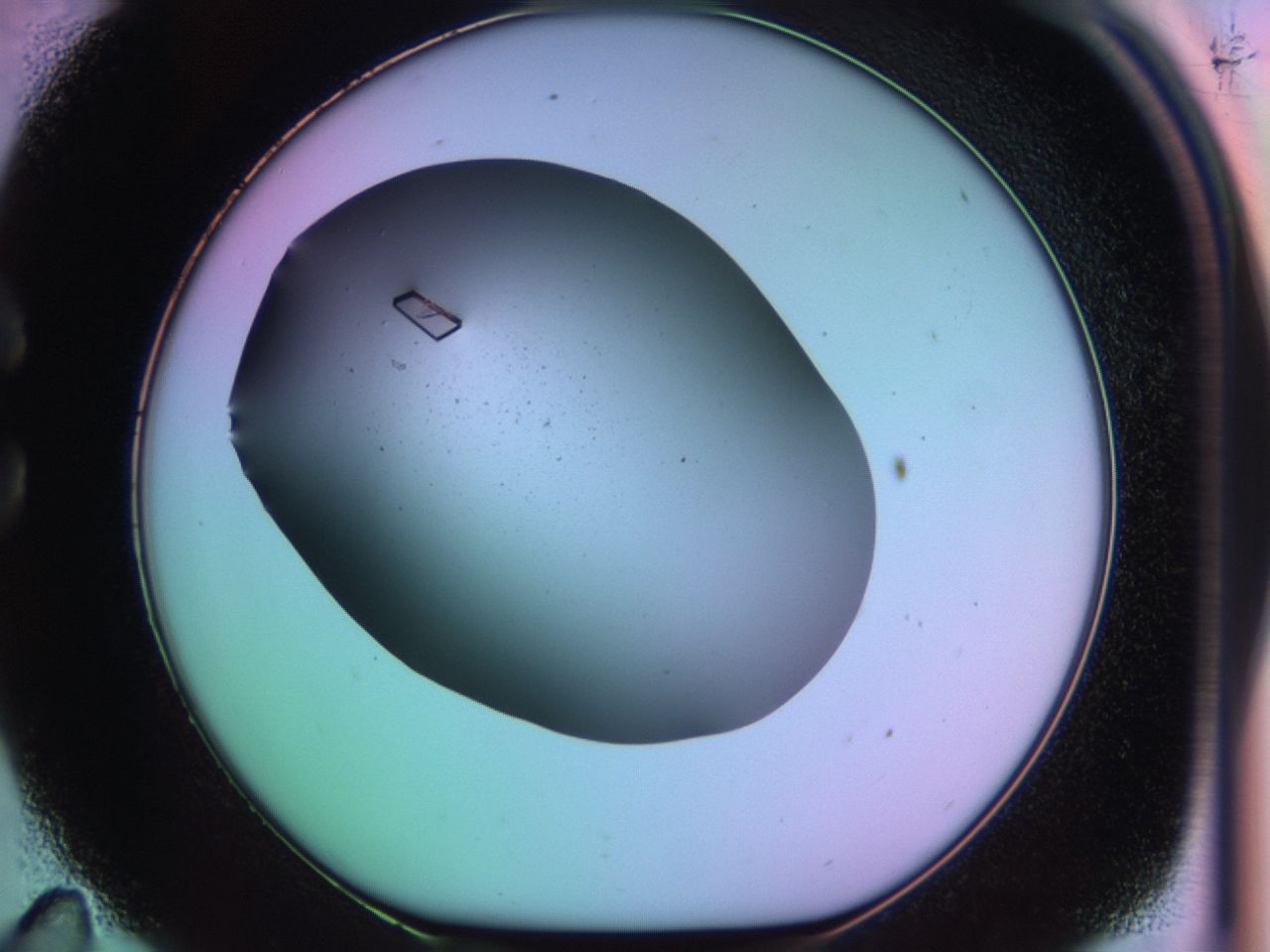 03qh_C11_ImagerDefaults_9.jpg