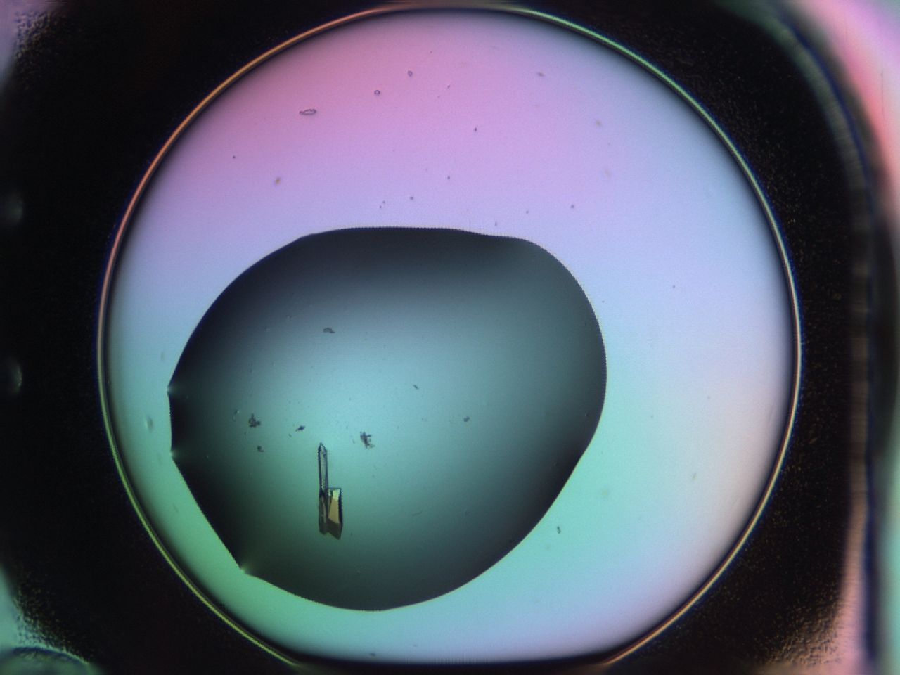 03qh_E12_ImagerDefaults_9.jpg