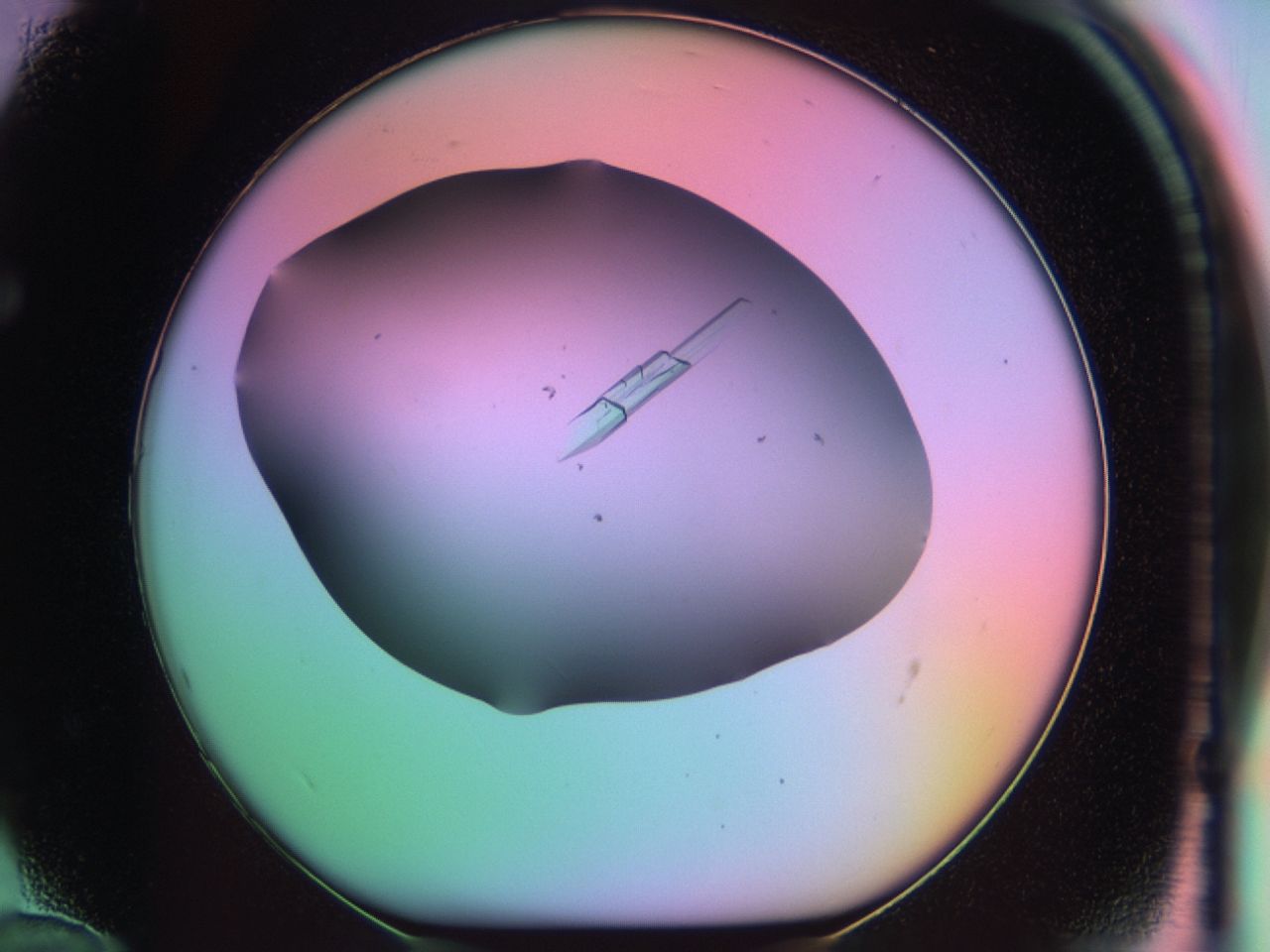 03qi_F12_ImagerDefaults_9.jpg
