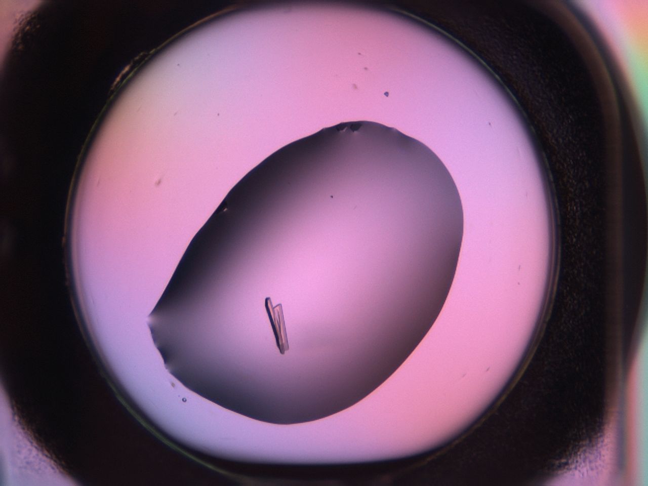 03qi_C4_ImagerDefaults_9.jpg