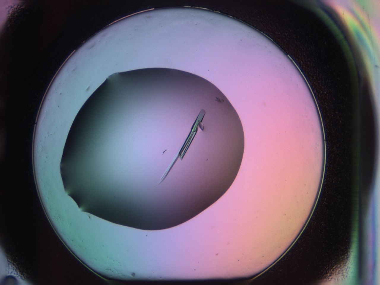 03qi_G11_ImagerDefaults_9.jpg