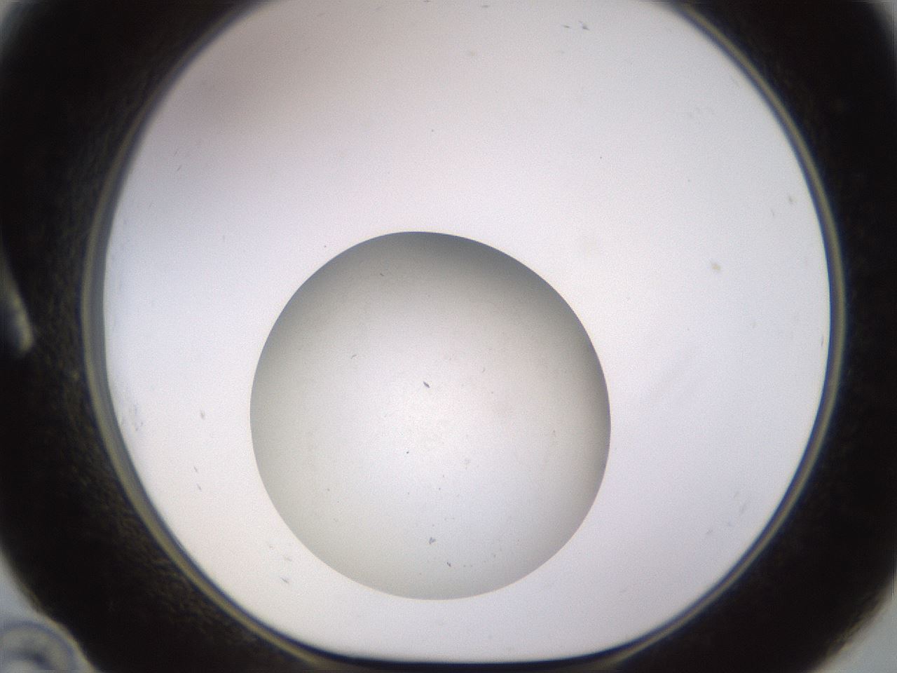 folderID845_plateID2845_batchID15341_wellNum10_profileID1_d1_r233025_ef.jpg