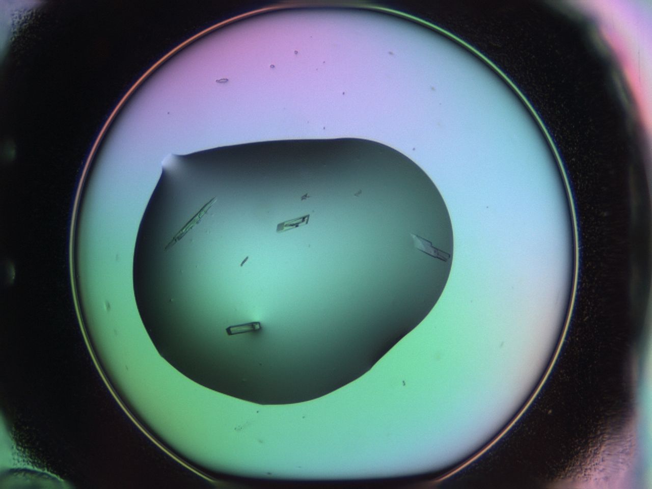 03qi_E12_ImagerDefaults_9.jpg