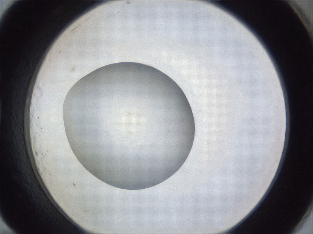 folderID846_plateID1846_batchID7898_wellNum83_profileID1_d1_r125442_ef.jpg