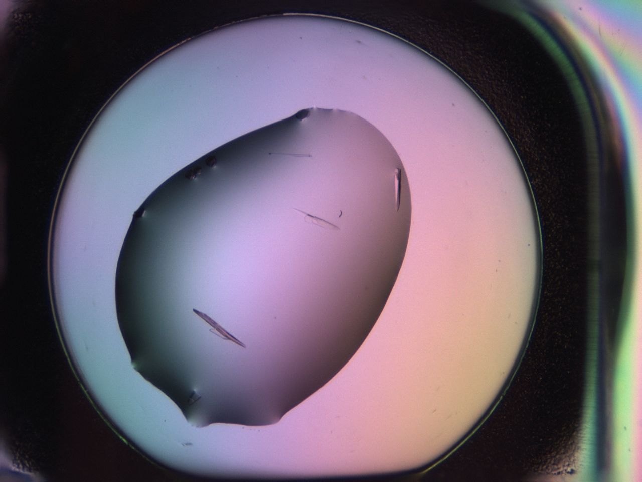 03qi_H10_ImagerDefaults_9.jpg