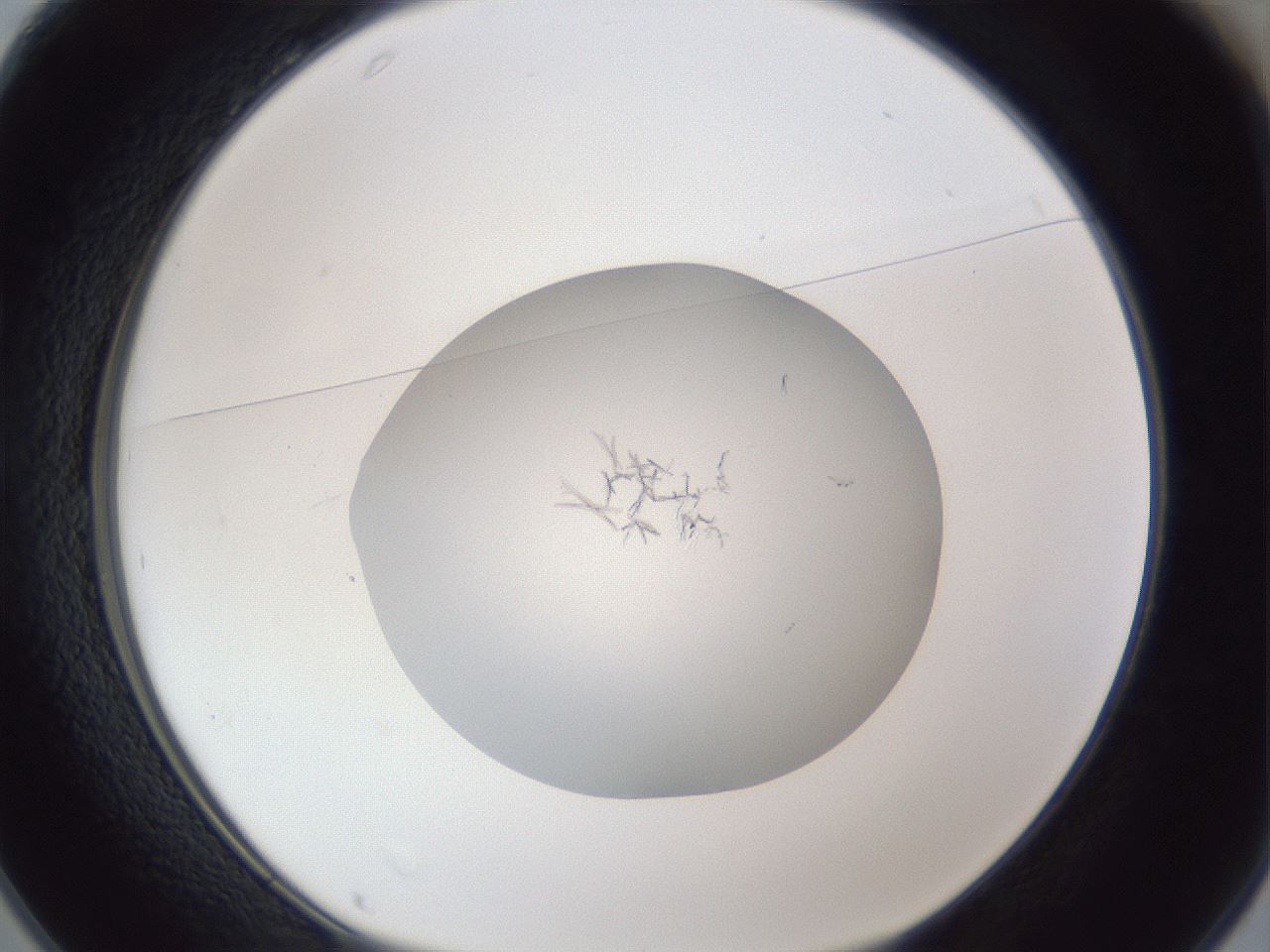 folderID847_plateID1847_batchID7911_wellNum25_profileID1_d1_r126286_ef.jpg